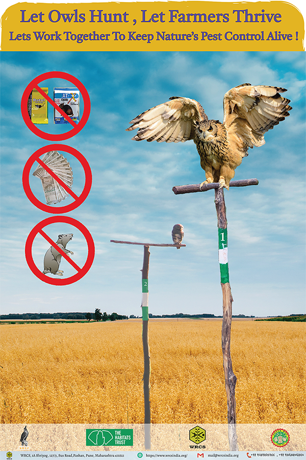 WRCS Owl Perch Poster